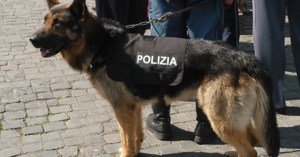 Concorso per 48 Medici Polizia di Stato 2023. Bando